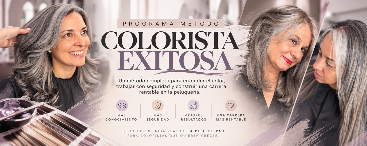 PROGRAMA: COLORISTA EXITOSA