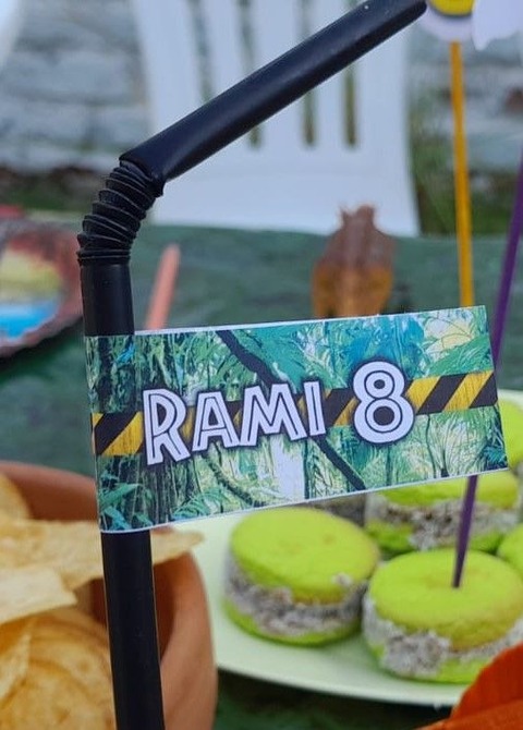 Mini banderines para sorbetes x30
