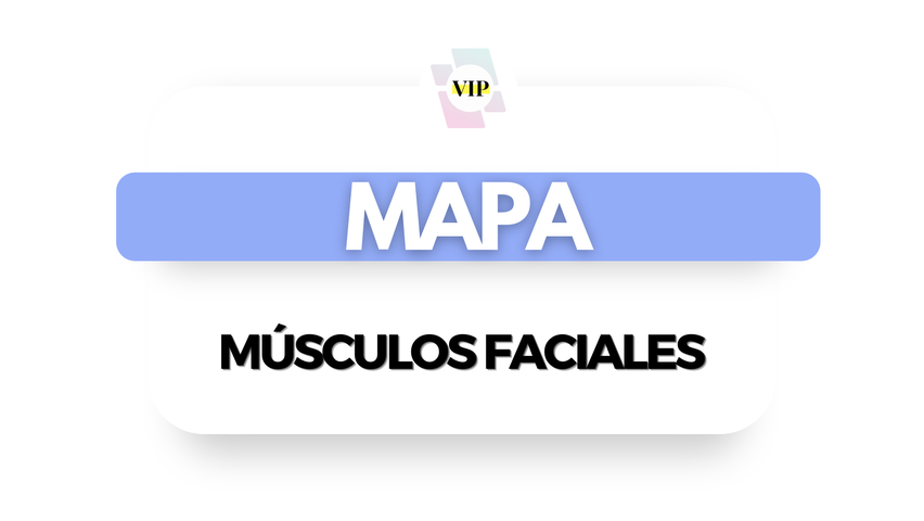 Mapa Músculos Faciales