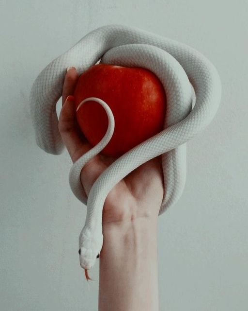 LA MISTERIOSA LILITH