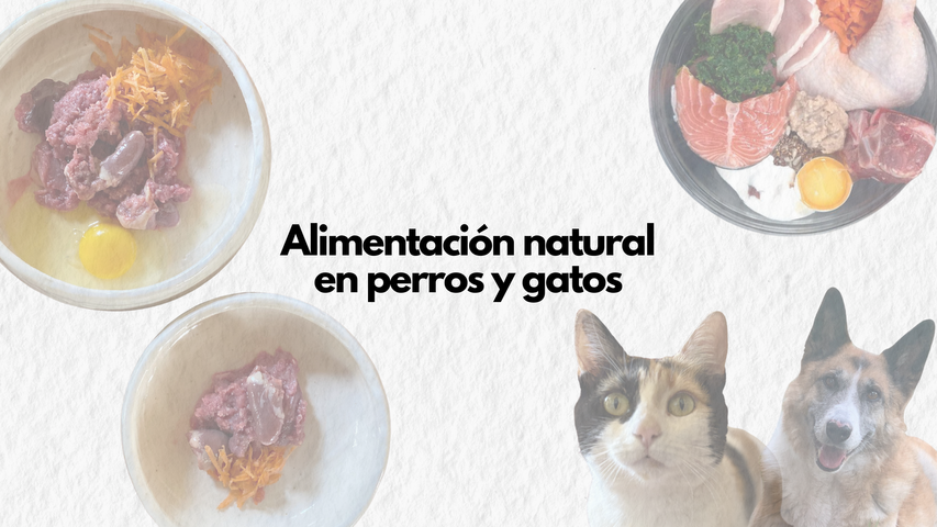 Alimentación natural en perros y gatos sanos
