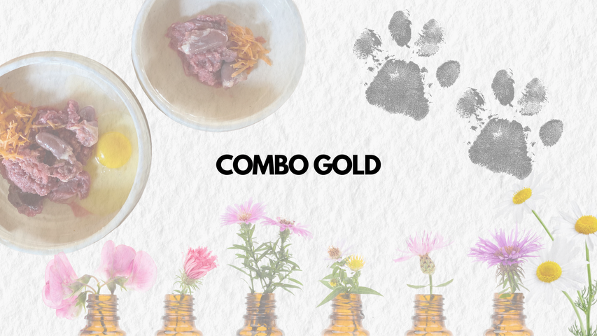Combo GOLD