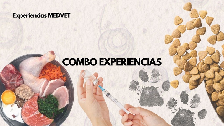 Combo TUTOR RESPONSABLE