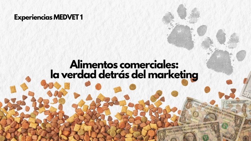 Alimentos comerciales - croquetas: la verdad detrás del marketing ️