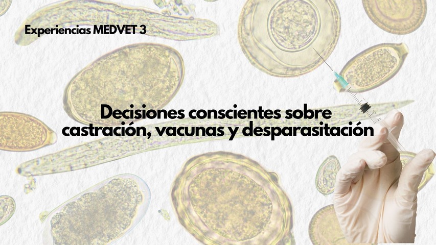 Decisiones conscientes sobre castración, vacunas y desparasitación 