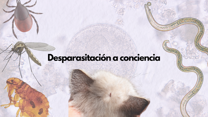 Desparasitacion a consciencia