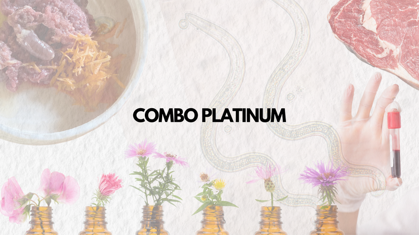 Combo PLATINUM