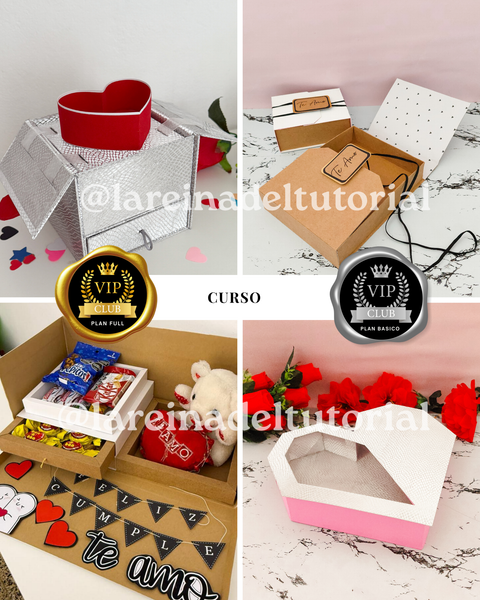 EXPERTA EN CAJAS