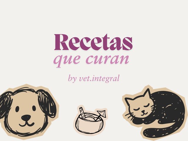 Ebook Recetas que curan