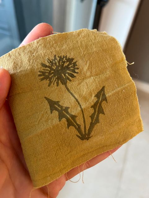 Flor de diente de leon