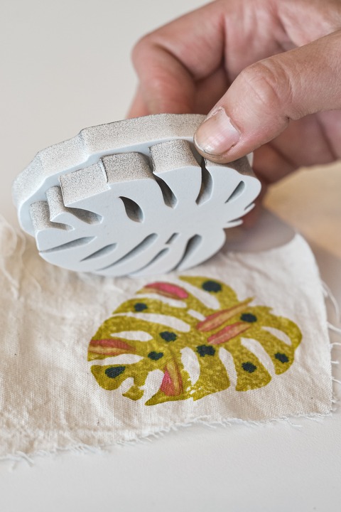 monstera 1