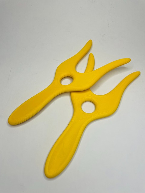 Luceta