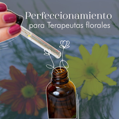 Perfeccionamiento para Terapeutas Florales