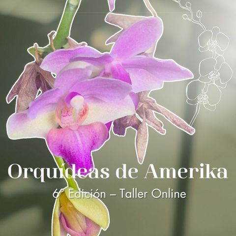 Taller de Orquideas - 2026