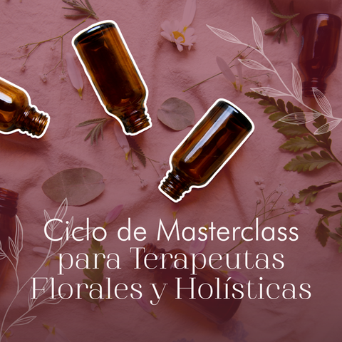 Ciclo de Masterclasses para Terapeutas