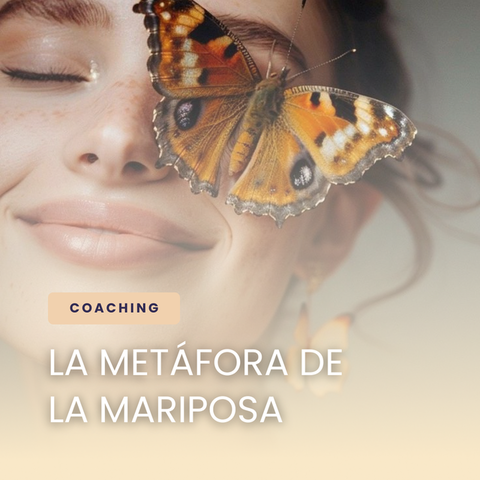 La Metáfora de la Mariposa
