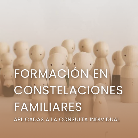 Formación en Constelaciones Familiares aplicadas a la consulta individual (con vincores)