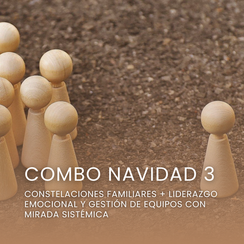 COMBO NAVIDAD 3 - Constelaciones Familiares + Liderazgo Emocional y Gestión de Equipos con Mirada Sistémica