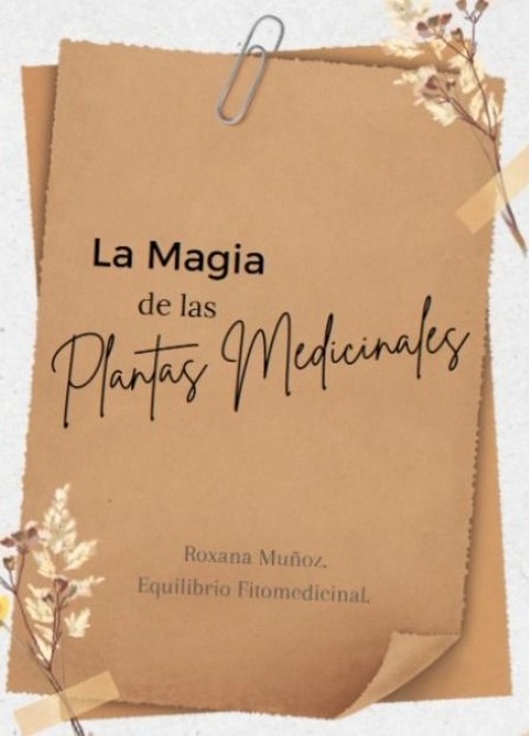 La Magia de las Plantas medicinales.