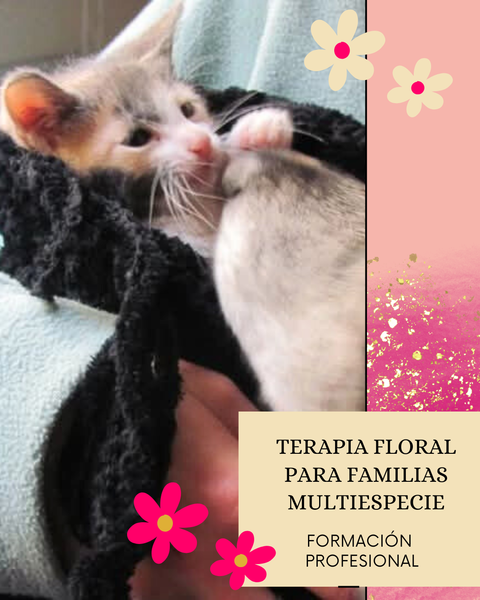 FORMACIÓN DE TERAPIA FLORAL PARA FAMILIAS MULTIESPECIE. EDICION AGOSTO 2026
