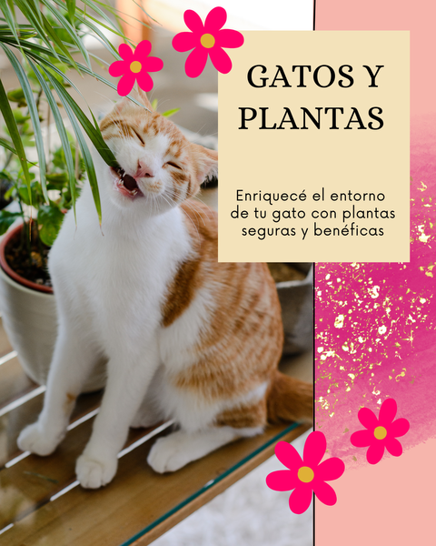 GATOS Y PLANTAS