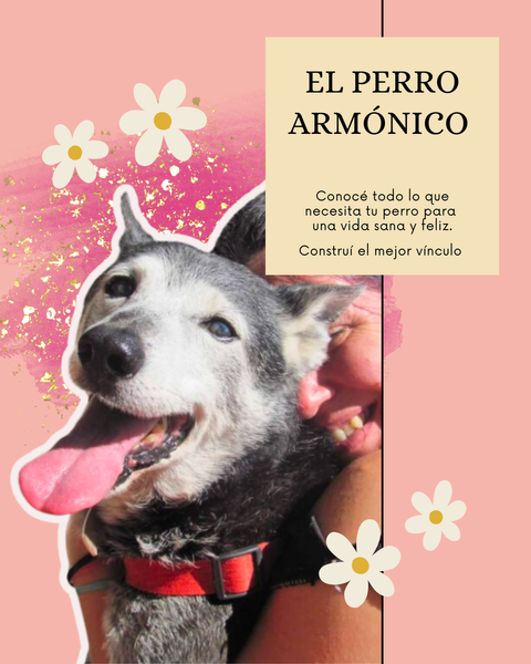 EL PERRO ARMÓNICO