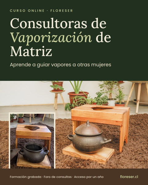 Consultora de vapores de Matriz