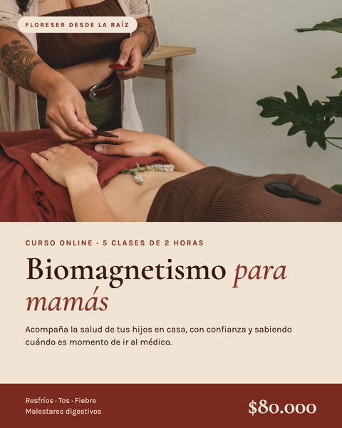 Biomagnetismo para mamás