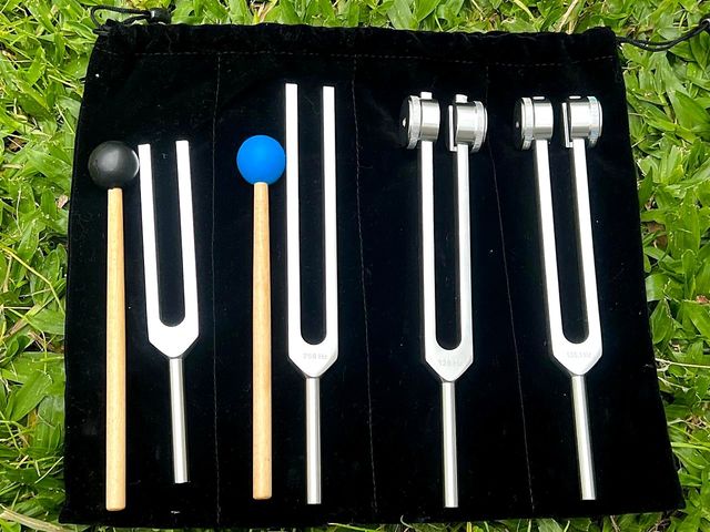 Set Profesional de 4 Diapasones Terapéuticos