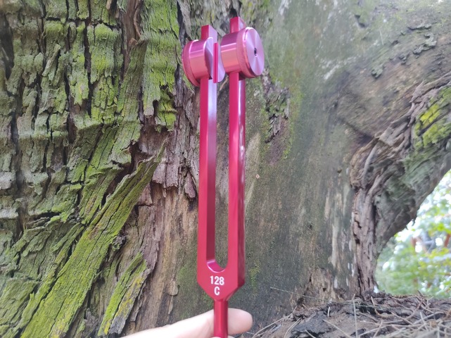 Diapasón 128 cuerpo físico Premium Rojo