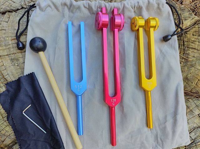 Set Profesional Masajistas 3 diapasones para el cuerpo físico, Premium