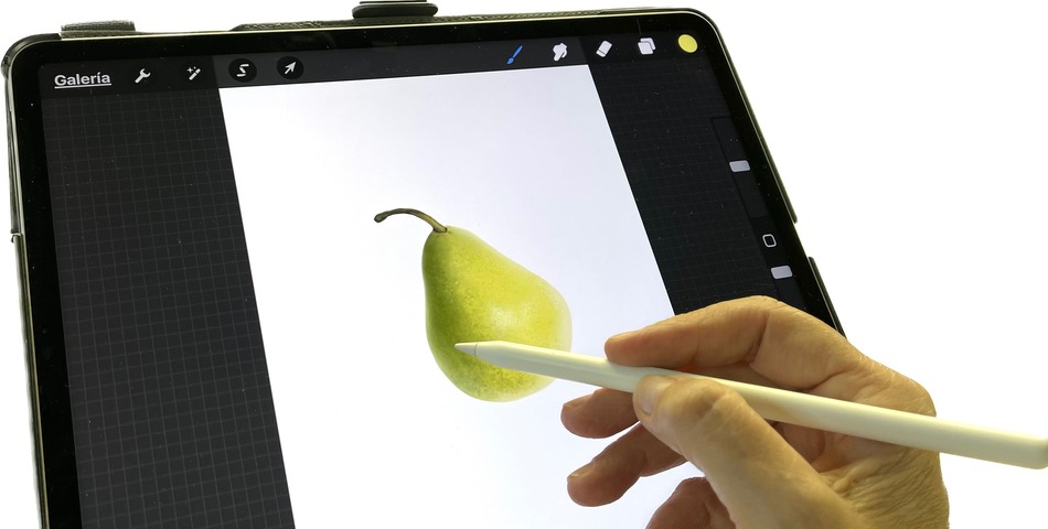  Procreate 