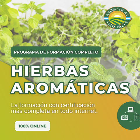 Programa de Formación Completo en Hierbas Aromáticas