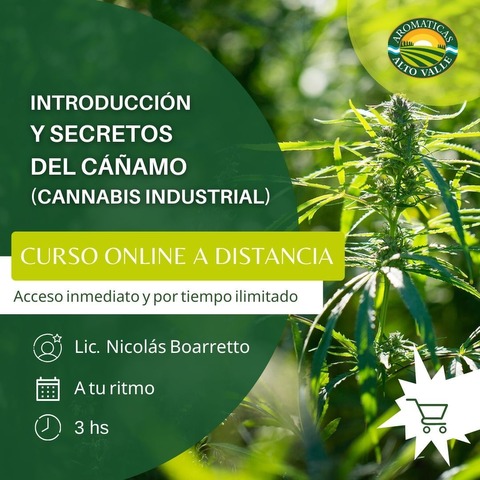 Introducción y Secretos del Cáñamo (Cannabis Industrial)