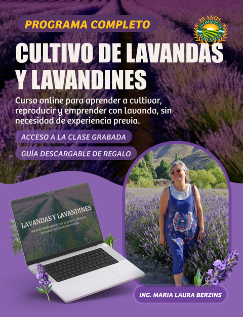 Programa de Formación Completo en Lavandas