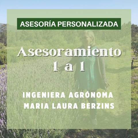 Asesoramiento en cultivos y aromáticas