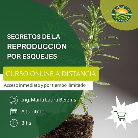 Curso Online: Reproducción por Esquejes