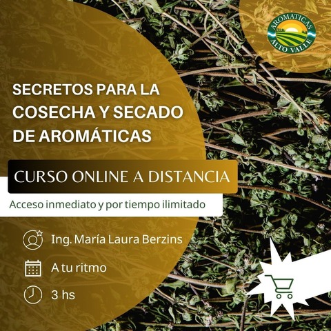Curso Online: Cosecha y Secado de hierbas aromáticas