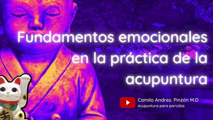 Ben Shen: aspectos psicoemocionales tratados a traves de la medicina china.