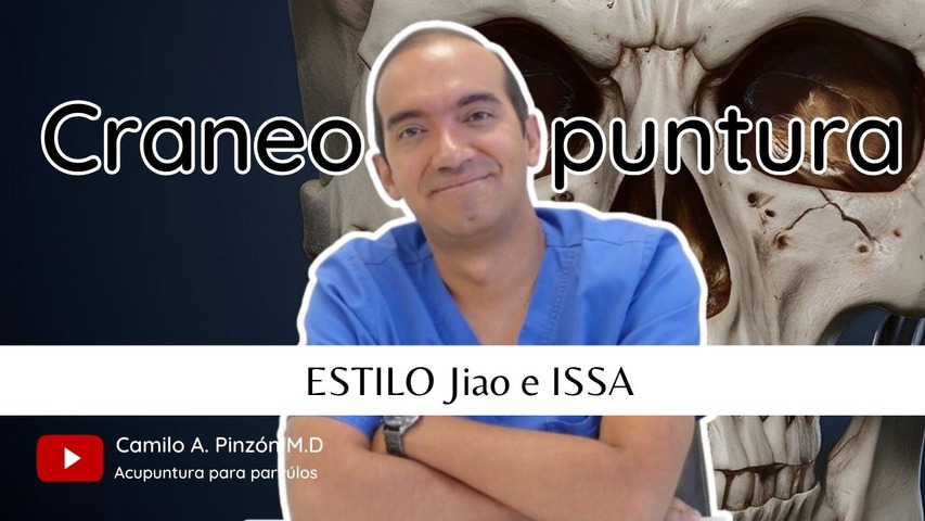 CRANEOPUNTURA CHINA: Estilo Jiao e ISSA ( acupuntura craneal internacional estandarizada)