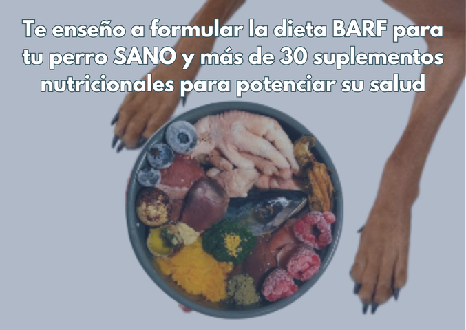 Dieta BARF + suplementos para PERROS sanos