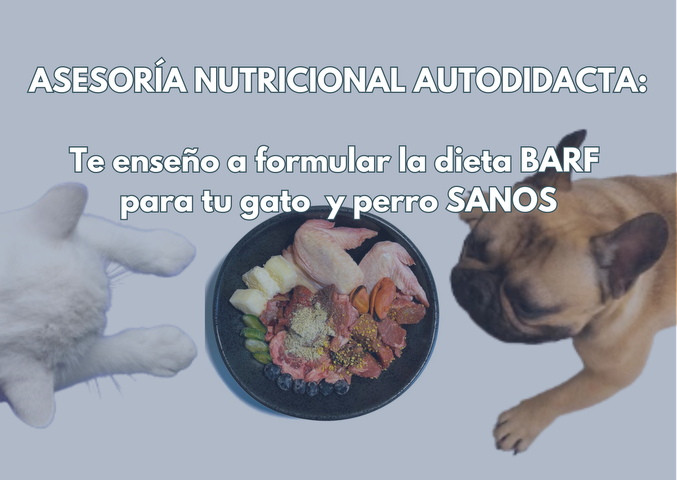 Dieta BARF para perros y gatos sanos