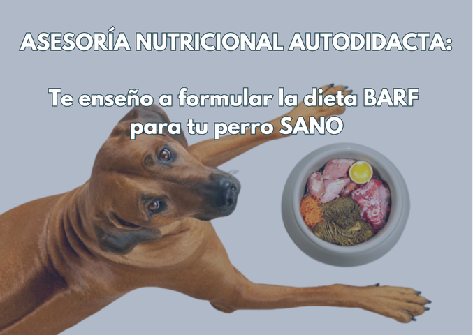 Dieta BARF para perros sanos