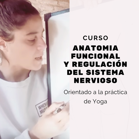 Curso Anatomía Funcional y Regulación del Sistema Nervioso (aplicado a la práctica de Yoga)