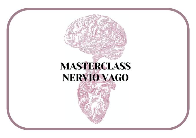 Masterclass Nervio Vago 