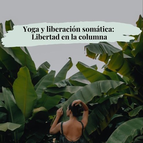 Taller Yoga y liberación somática  