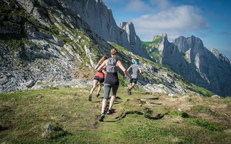 Segunda edición - Nutrición deportiva intensivo: del conocimiento a la práctica