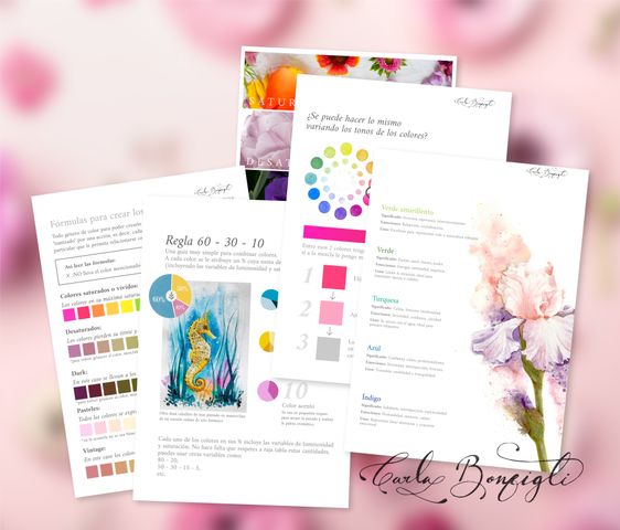 Ebook Amigos del color 2.0