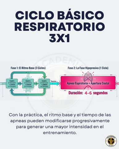Ciclo 3x1: Cómo Dominar la Respiración Hipopresiva para Transformar tu Cuerpo