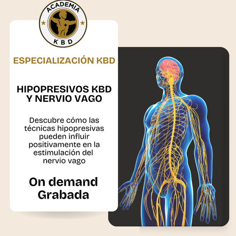 ESPECIALIZACIÓN KBD: Hipopresivos y Nervio Vago, el trabajador silencioso